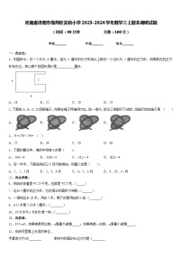 河南省洛阳市偃师区实验小学2023-2024学年数学三上期末调研试题含答案