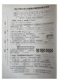 湖北省武汉市江夏区2023-2024学年六年级上学期期末数学试卷