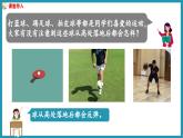 综合与实践   球的反弹高度（课件）2023--2024学年苏教版五年级下册数学