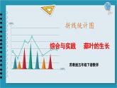 综合与实践   蒜叶的生长（课件）2023--2024学年苏教版五年级下册数学