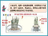 综合与实践   蒜叶的生长（课件）2023--2024学年苏教版五年级下册数学