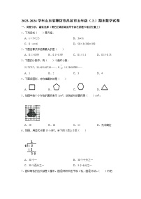 山东省潍坊市昌邑市2023-2024学年五年级上学期期末数学试卷