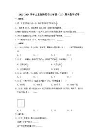 山东省潍坊市2023-2024学年三年级上学期期末数学试卷