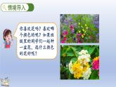人教版数学二年级下册1.1 数据的收集 课件