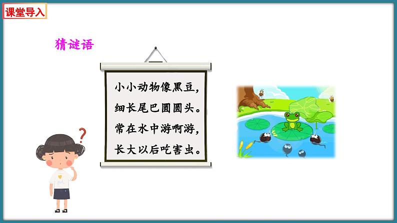 二年级下册数学北师大版5.5 小蝌蚪的成长（1）（课件）03