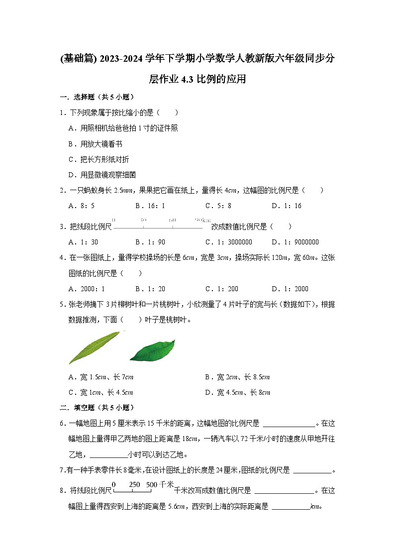 4.3比例的应用(基础篇) 2023-2024学年下学期小学数学人教版六年级同步分层作业第1页