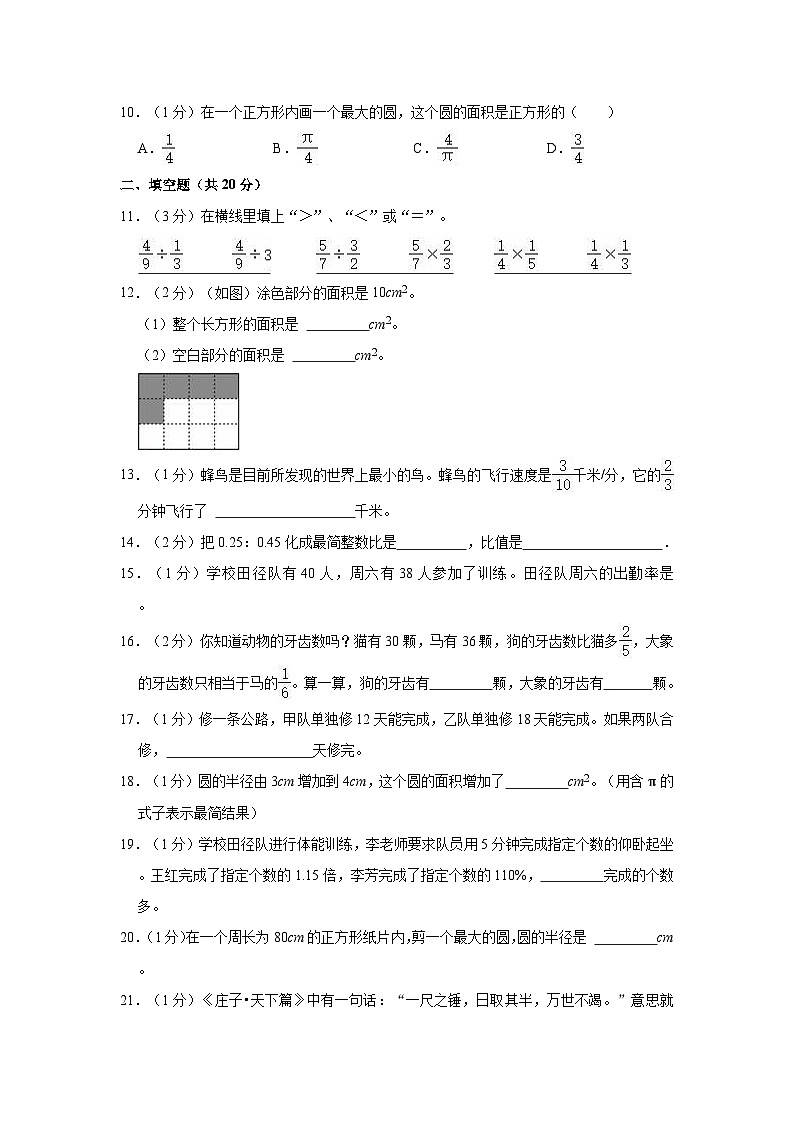 2023-2024学年广东省广州市白云区六年级（上）期末数学试卷02