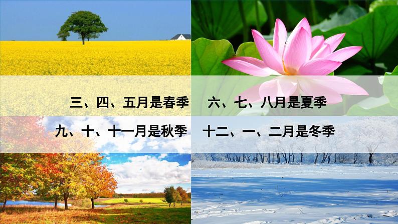 6.1 生日（课件）-2023-2024学年四年级下册数学北师大版第5页