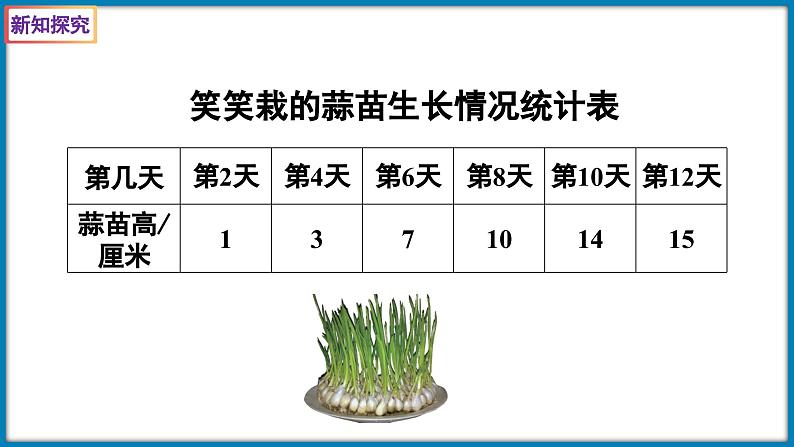 6.3 栽蒜苗（二）（课件）-2023-2024学年四年级下册数学北师大版03