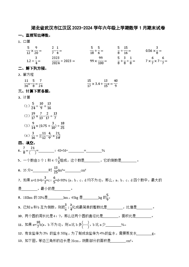 湖北省武汉市江汉区2023-2024学年六年级上学期数学1月期末试卷01