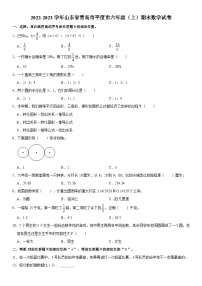 山东省青岛市平度市2022-2023学年六年级上学期期末数学试卷