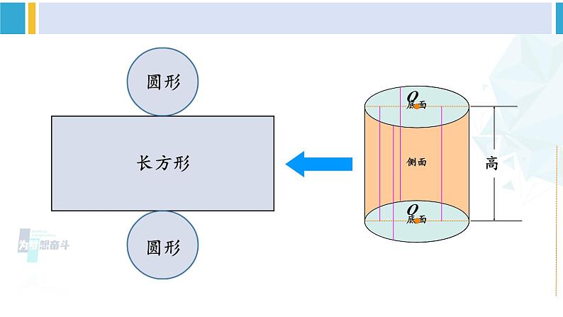 苏教版六年级数学下册二 圆柱和圆锥整理与练习（课件）第4页