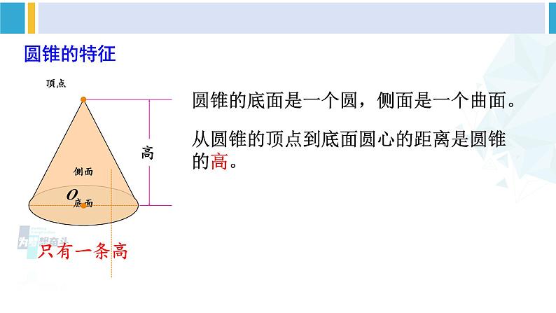 苏教版六年级数学下册二 圆柱和圆锥整理与练习（课件）第5页