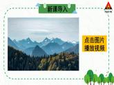 西南师大版五年级数学下册 4 分数加减法  综合与实践 一年“吃掉”多少森林 (课件)