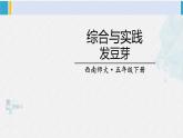 西南師大版五年級(jí)數(shù)學(xué)下冊(cè) 6 折線統(tǒng)計(jì)圖 綜合與實(shí)踐 發(fā)豆芽 (課件)