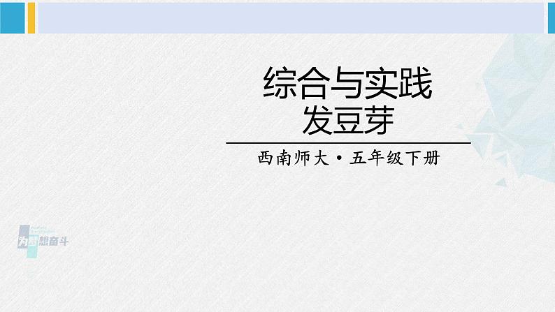 西南师大版五年级数学下册 6 折线统计图 综合与实践 发豆芽 (课件)第1页