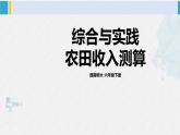 西南師大版六年級(jí)數(shù)學(xué)下冊(cè) 四 扇形統(tǒng)計(jì)圖   綜合實(shí)踐 農(nóng)田收入測(cè)算 (課件)