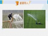 西南師大版六年級(jí)數(shù)學(xué)下冊(cè) 四 扇形統(tǒng)計(jì)圖   綜合實(shí)踐 農(nóng)田收入測(cè)算 (課件)