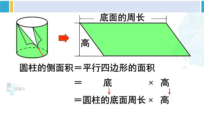 人教版六年级下册数学下册 3 圆柱与圆锥 第3课时 圆柱的表面积（1）（课件）第8页