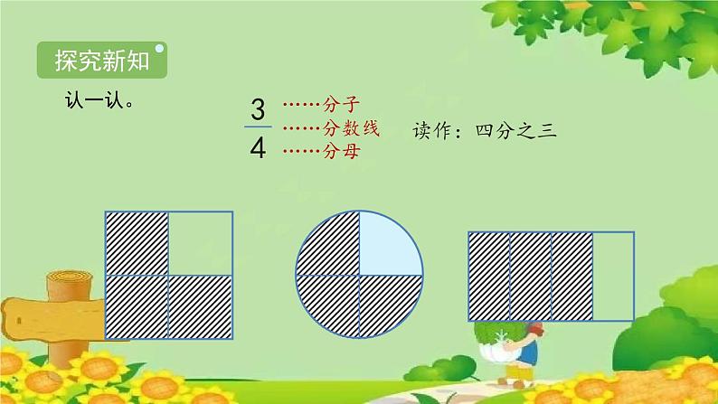 北师大版三年级数学下册 6.1《分一分（一）》课件第4页