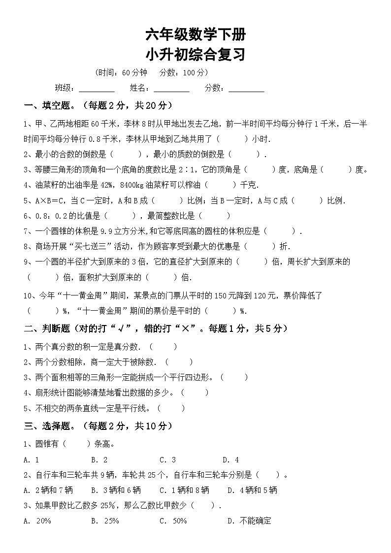 人教版六年级下册数学小升初综合复习(试题)201