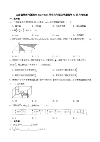 江苏省常州市溧阳市2023-2024学年六年级上学期数学12月月考试卷