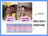 青島版數(shù)學(xué)四年級(jí)下冊(cè) 第7單元   信息窗1 PPT課件