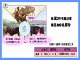 青島版數(shù)學(xué)四年級(jí)下冊(cè) 第7單元   信息窗2 PPT課件