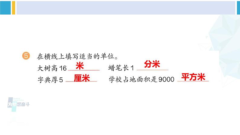 人教版三年级数学下册 5 面积    练习十四（教学课件）06