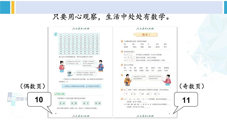 人教版五年级数学下册 2 因数和倍数 练习课（教学课件）第3页