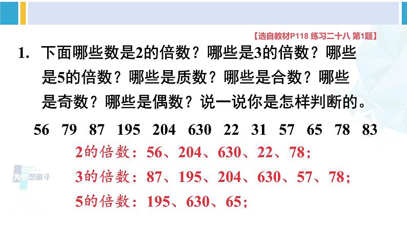 人教版五年级数学下册 9 总复习 第1课时 数与代数（1）（教学课件）06