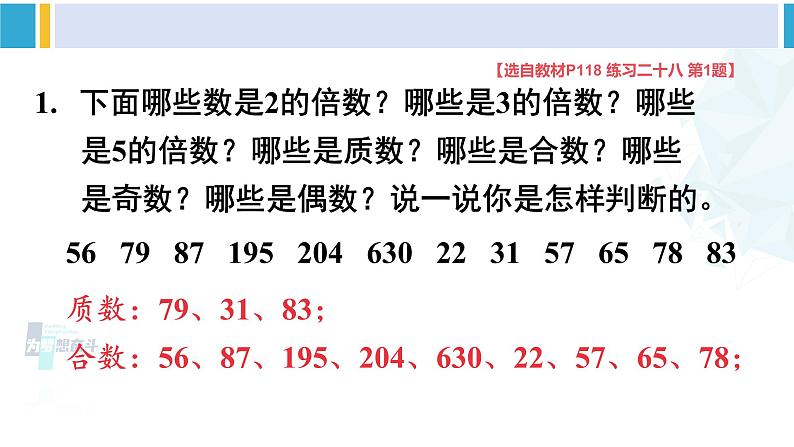 人教版五年级数学下册 9 总复习 第1课时 数与代数（1）（教学课件）07