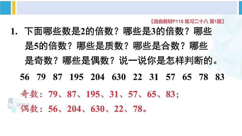 人教版五年级数学下册 9 总复习 第1课时 数与代数（1）（教学课件）08