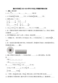 重庆市巴南区2023-2024学年六年级上学期期末数学试卷