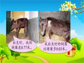青島版（六三制） 四年級(jí)數(shù)學(xué)下冊(cè) 七 奇異的克隆?！?shù)加減法-信息窗1  小數(shù)加減法課件