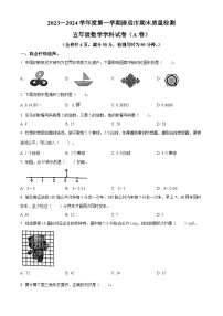 广东省清远市2023-2024学年五年级上学期期末质量检测数学试卷（原卷+解析）