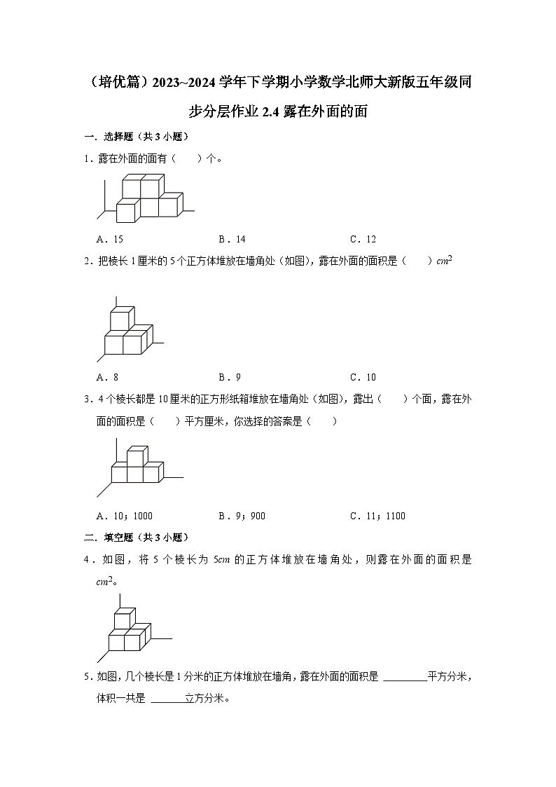 2.4露在外面的面（培优篇）2023_2024学年下学期小学数学北师大新版五年级同步分层作业01