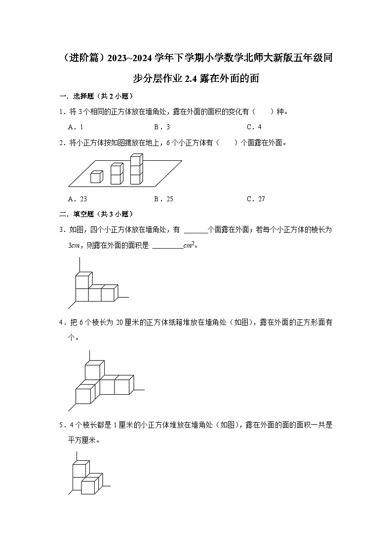 2.4露在外面的面（进阶篇）2023_2024学年下学期小学数学北师大新版五年级同步分层作业第1页