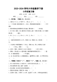 小升初+综合复习卷（试题）-2023-2024学年六年级下册数学苏教版