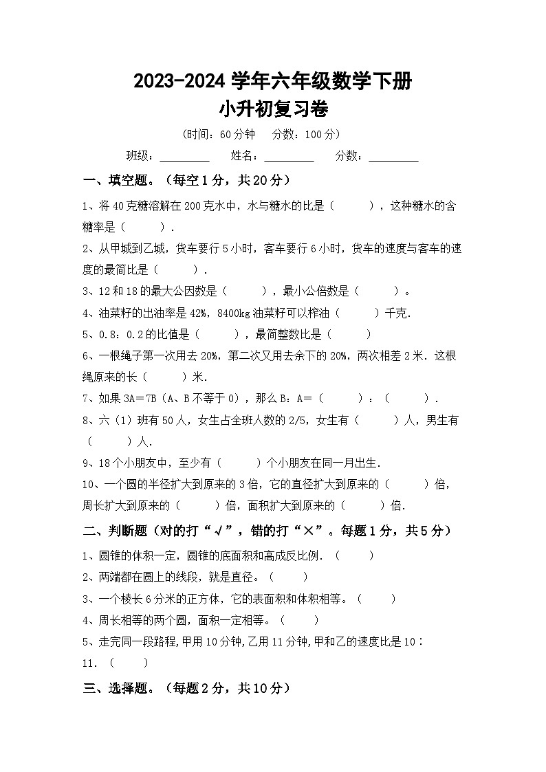 小升初复习题(试题)-+2023-2024学年六年级下册数学人教版第1页