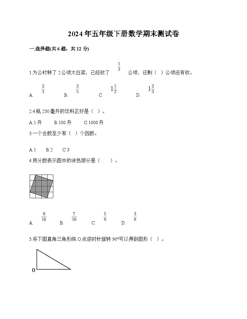 期末测试卷（试卷）-2023-2024学年五年级下册数学人教版第1页