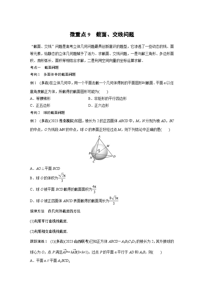 专题四　微重点9　截面、交线问题--2024年高考数学复习二轮讲义01