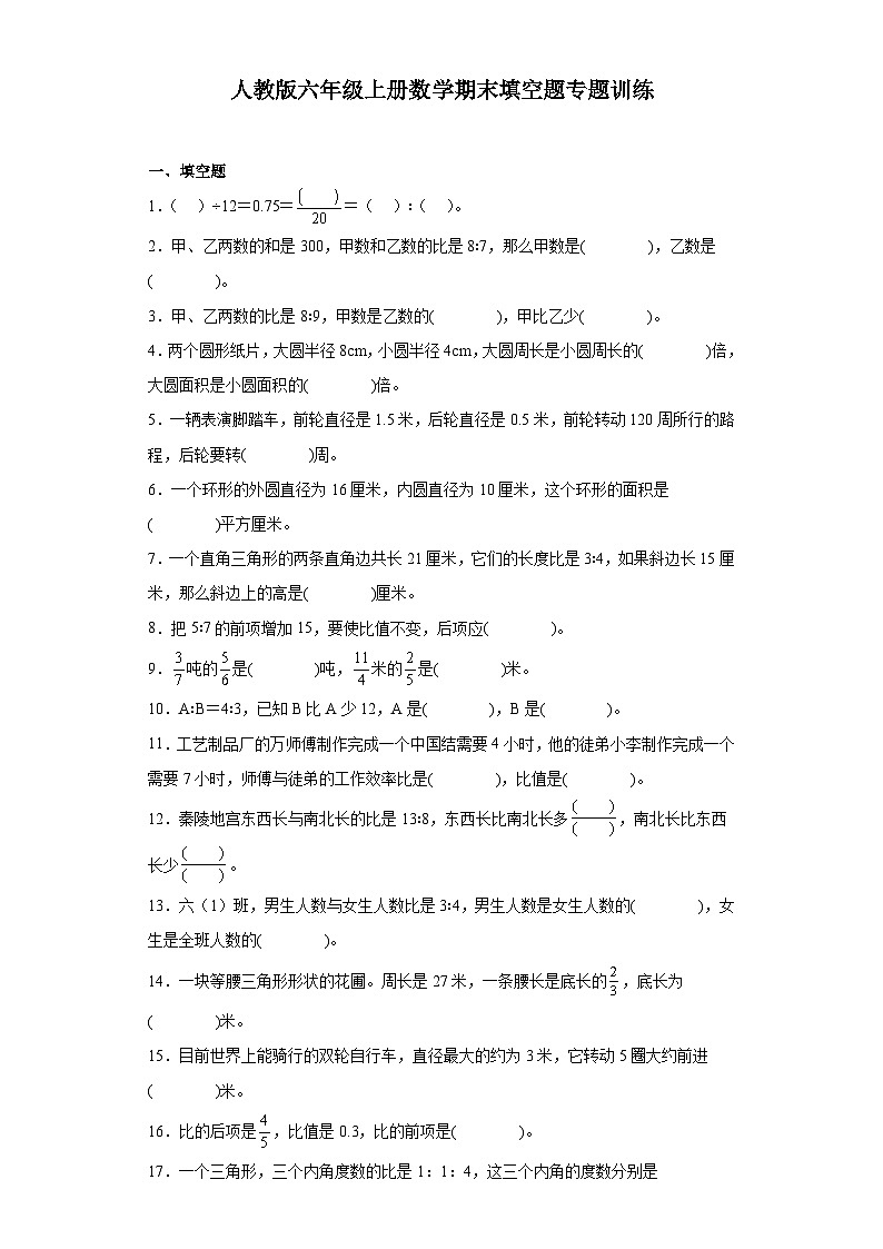 人教版六年级上册数学期末填空题专题训练（含答案）01