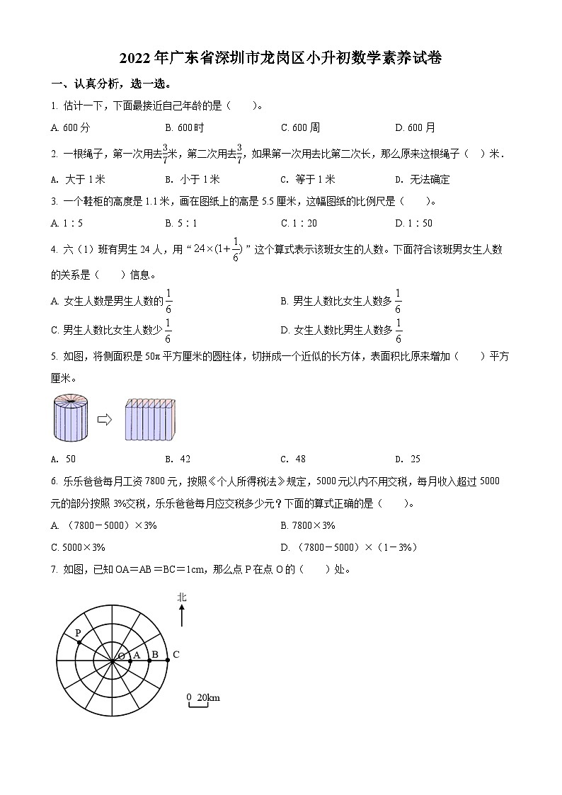 精品解析：广东省深圳市龙岗区2022年北师大版小升初素养测试数学试卷(原卷版+解析)第1页