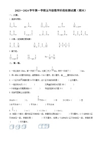 2023-2024学年山东省青岛市黄岛区青岛西海岸新区王台小学(青岛市黄岛区王台小学)青岛版五年级上册期末测试数学试卷（原卷版+解析版）