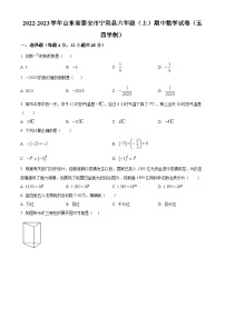 山东省泰安市宁阳县2022-2023学年六年级上学期期中数学试题（五四学制）（五四学制+五四学制）