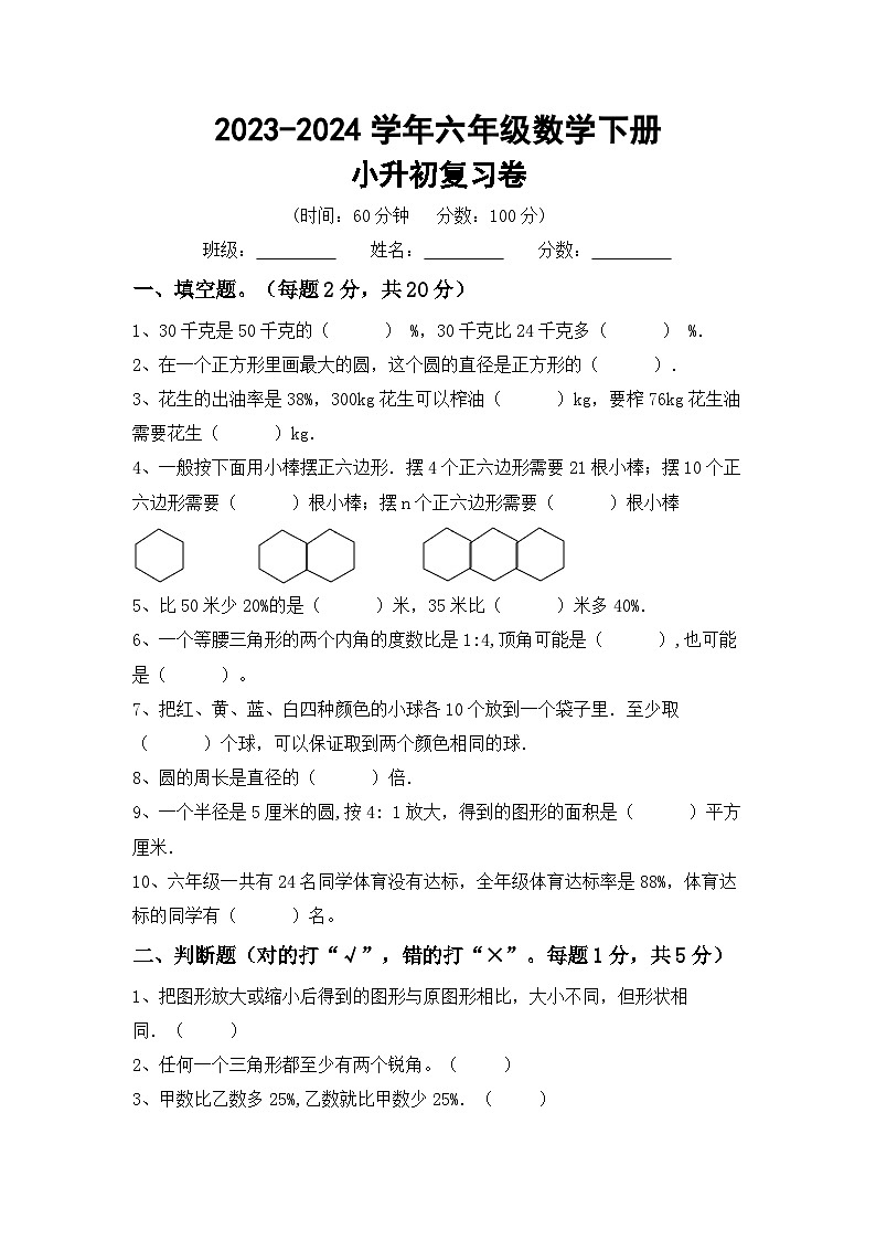小升初综合复习（试题）-2023-2024学年六年级下册北京版数学第1页