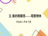 青岛六三制二下数学五观察物体课件