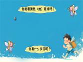 人教版小学六年级数学下册 图形的放大与缩小   课件
