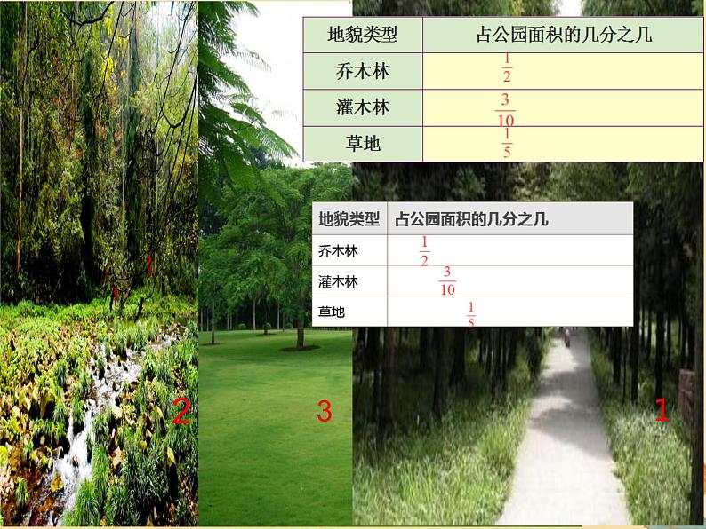 人教版小学五年级数学下册分数加减混合运算课件第4页